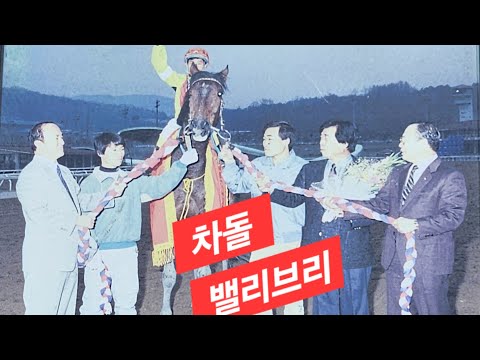 차돌 밸리브리 만나다(말 박물관)월드조이 졌짤싸(졌지만 잘 싸웠다.)