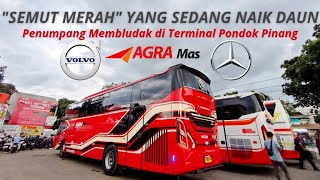 Download lagu PO AGRA MAS OPENS WONOSOBO ROUTE ⁉️Monitoring the Overcrowding of Passengers at Pondok Pinang Ter... mp3 Download lagu PO AGRA MAS OPENS WONOSOBO ROUTE ⁉️Monitoring the Overcrowding of Passengers at Pondok Pinang Ter... mp3