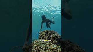 Download lagu The life of the Bajau people   people who live at sea all year round mp3