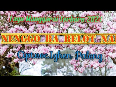 Lagu Manggarai terbaru Ba Belot Nai cipt.voc.Ighen Paleng#terbaruviral