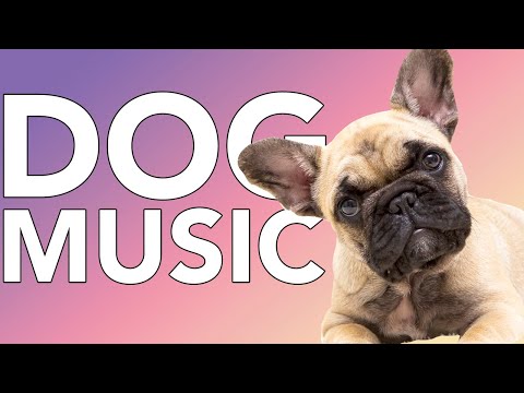 20 HOURS of Relaxing Separation Anxiety Music for Dogs | Relax My Dog