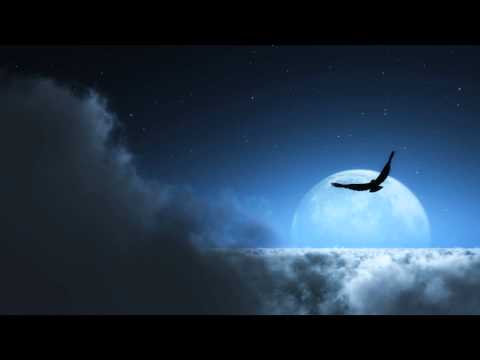 download lagu mp3 mp4 Harold Budd Snowfall, download lagu Harold Budd Snowfall gratis, unduh video klip Harold Budd Snowfall