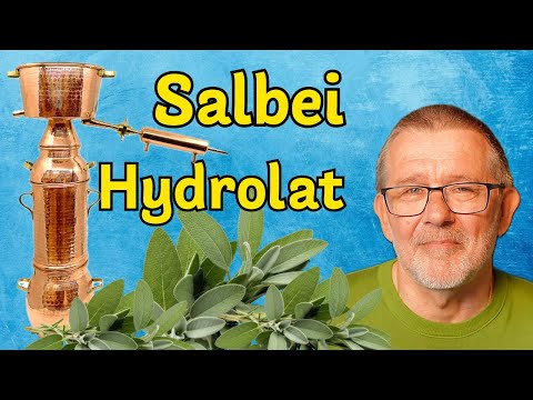 Salbei destillieren – Hydrolat und ätherisches Öl selbst herstellen 