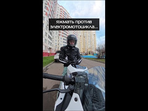 Что она попыталась сфоткать? 😳