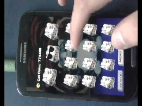 Battle Kitty Cat Video