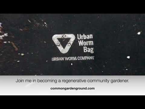 Urban Worm Bag Quickie Honest Unpaid Review