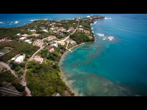 GRENADA MATTERS - PROTESTS ARRANGED TODAY ON ISLAND