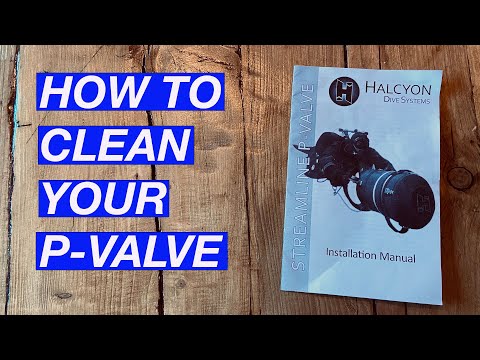 HOW TO CLEAN YOUR P-VALVE | Why rinse our Tinkle Valve after every scuba dive | Halcyon Light Monkey