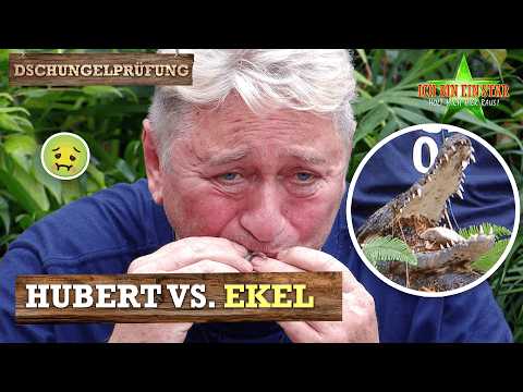 "Nicht sprechen“ – Hubert stellt sich der Essens-Hölle 😵‍💫​⭐️ | Dschungelcamp 2026