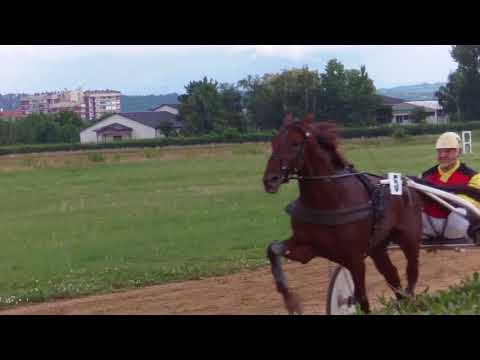 POŽAREVAC - KASAČKA TRKA ,,RESAVA" (07.juli 2018)