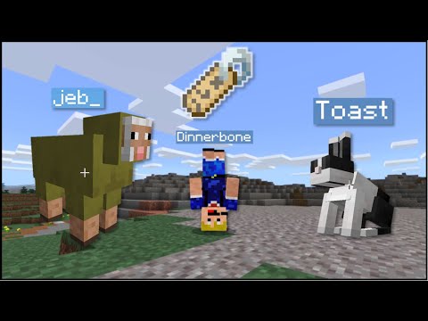 Minecraft - All Mob Name Tag Easter Eggs (Java/Bedrock)