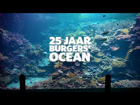 Burgers' Ocean celebrates its 25th anniversary! 🎉🐠