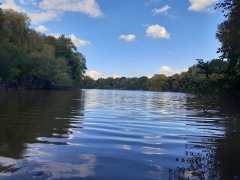 Hamburg so grün, Rahwegteich / See am Bayernweg (Niendorf)
