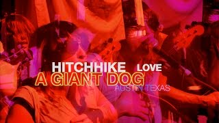 Hitchhike Love  -   A Giant Dog