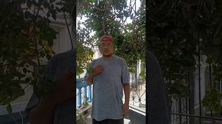 Download lagu Mau ketawa takut dosa video lucu bikin ngakak funny videos viral video mp3