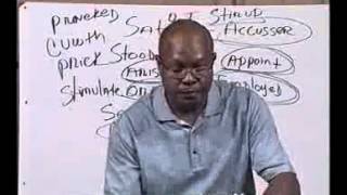 Who Is Satan? Biblical Origins & Genesis 3 Teaching