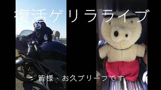 復活ゲリラライブ！雑談します♪