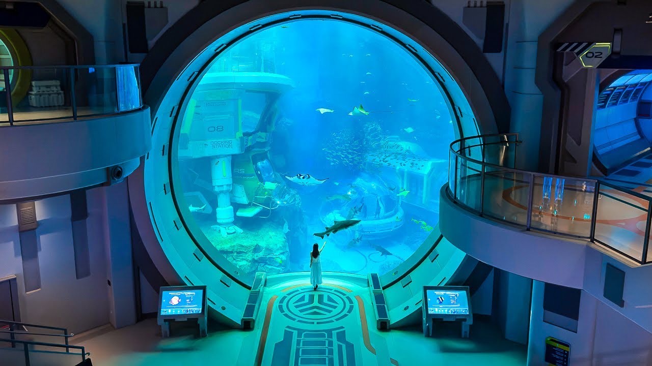 Step inside Seaworld Abu Dhabi with this captivating walkthrough.