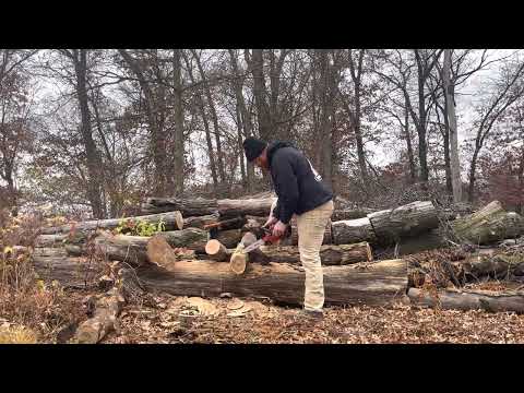 Redbeard Saws