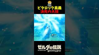 ビタロックを応用した魅せプを決めて気持ちよくなってしまった英傑 (剣の試練 最終フロア) 　#shorts  #ゼルダの伝説ブレスオブザワイルド  #ブレワイ
