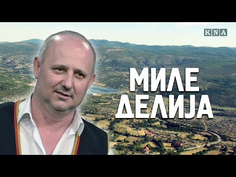 Mile Delija - Tunel - (Official Audio 2016)