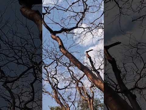 April from Aperio: To uncover in latin