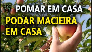 Poda de Macieira em Casa com Sergio Semerdjian