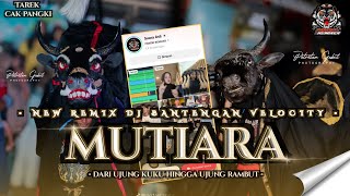 Download lagu DJ BANTENGAN MUTIARA VIRAL TIKTOK VELOCITY FROM DJ PANGKI REMIXER  mp3