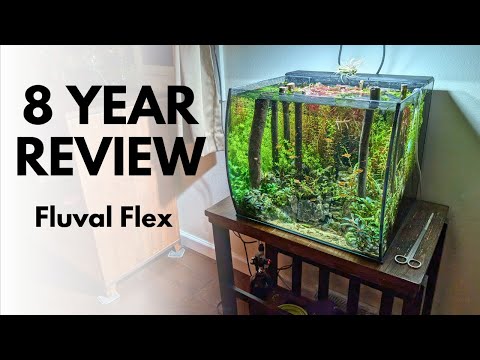 REVIEW: Is the Fluval Flex 15 Gallon Really Worth It After 8 Years of Use?