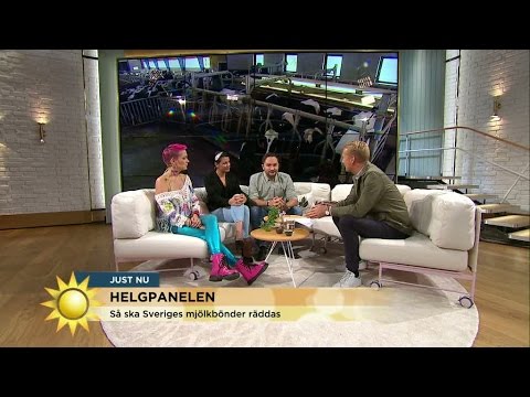 Så ska svenska mjölkbönder räddas - helgpanelen diskuterar - Nyhetsmorgon (TV4)