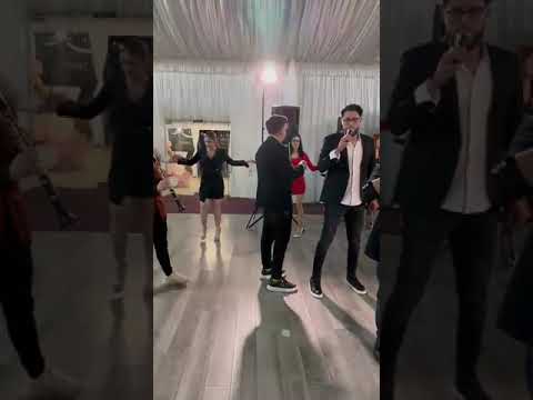 Gabi Bec ❌ Colaj - hore de joc 🎤 Live 2024