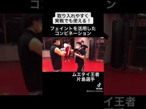 【フェイントが使えれば中級者】コンビネーション内で取り入れやすいフェイント