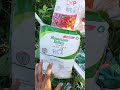Mau Daun Tanaman Hijau Pekat Gunakan Magnesium Sulfat