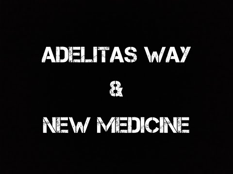 Adelitas Way & New Medicine ~ Own It ~ Lyrics
