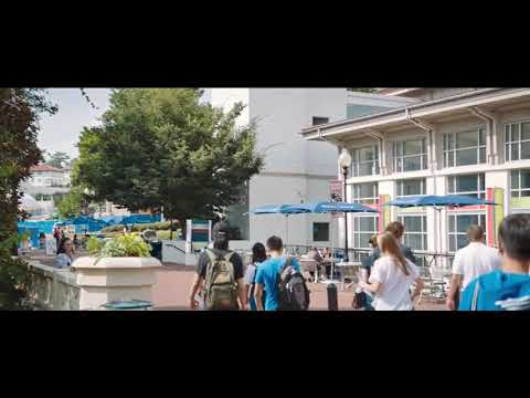 After. Aquí empieza todo - Clip: Tessa se encuentra con Hardin en la cafetería (Castellano)