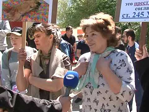 В Курске митинговали защитники животных