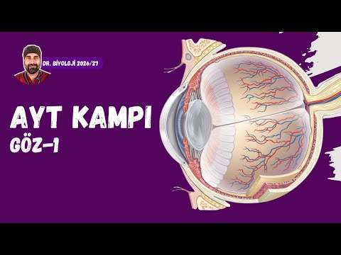 Duyu Organları Göz-1 | Dr. Biyoloji | AYT Dönem 2026 - 2027