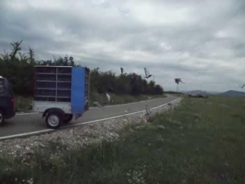 COLUMBODROM HONEST RACE - ANTRENAMENT 1 - 5 Km