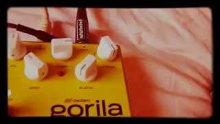 Video thumbnail for Vania cucci "Dedalo GORILA - Bass Compressor (GOR-3)" by IGC