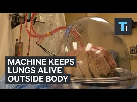 Machine keeps lungs alive outside body