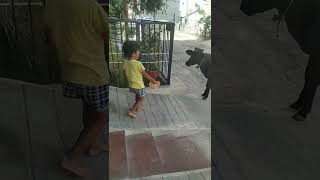 1 April 2022 video