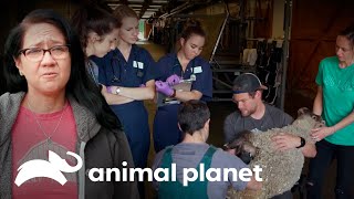 Thumbnail del capítulo