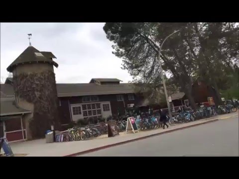 早稲田大学留学リポート2016 #3 アメリカ・UCデービス校