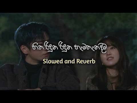 Hitha riduna riduna hama thanadima(Slowed+Reverb)