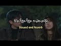Hitha Riduna Riduna Hama Thanadima Slowed Reverb