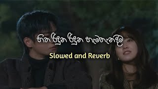 Download lagu Hitha riduna riduna hama thanadima(Slowed Reverb) mp3 Download lagu Hitha riduna riduna hama thanadima(Slowed Reverb) mp3