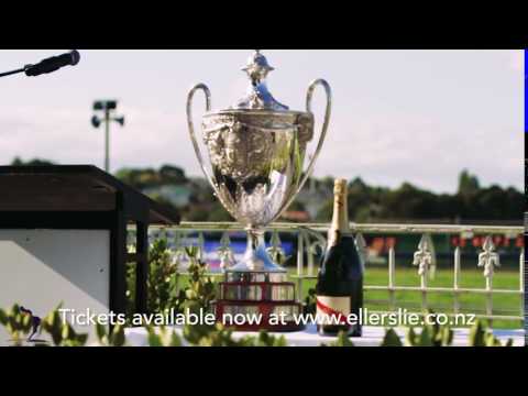 Auckland Cup Week at Ellerslie!