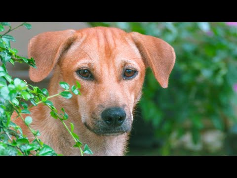 How a Single Mom's Unconditional Love Changed Her Family Forever