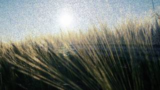 Way Out West - Don&#39;t Forget Me (Riley &amp; Durant Remix)