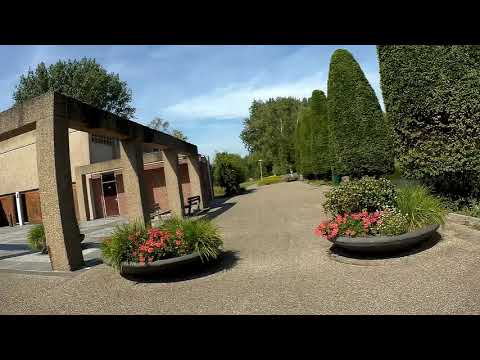 Sightseeing Selwerderhof And More 01-08-20 Part 1/2 (Molukkenplantsoen-Penningsdijk) | DBB